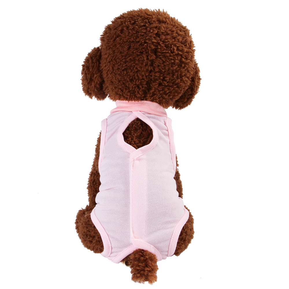 Cat Plushies Bite-Proof Weaning Clothes: Surgical & Sterilization Pet Protection