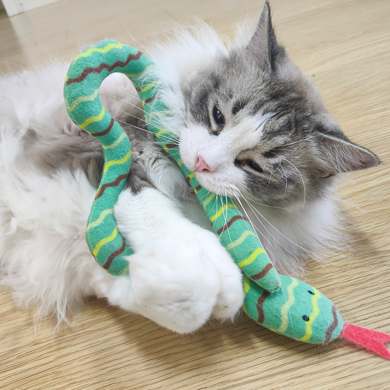 Cat Plushies: Mint Snake Interactive Toy for Biting Fun & Healthy Pets