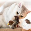 Cat Plushies: Mouse & Bird Toy with Sound for Feline Fun
