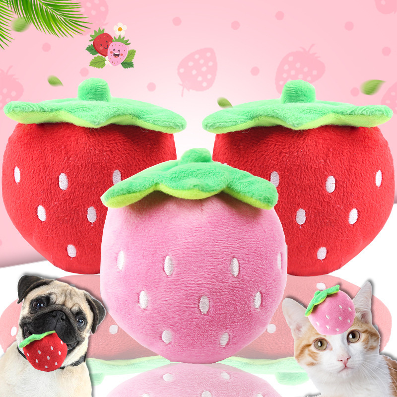 Cat Plushies: Strawberry Vocal Pet Toy for Dogs & Cats - Top Embroidery Design