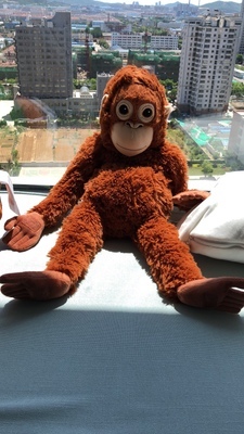 Monkey Plushies Orangutan Plush Doll: Perfect Bedtime Friend & Christmas Gift for Kids
