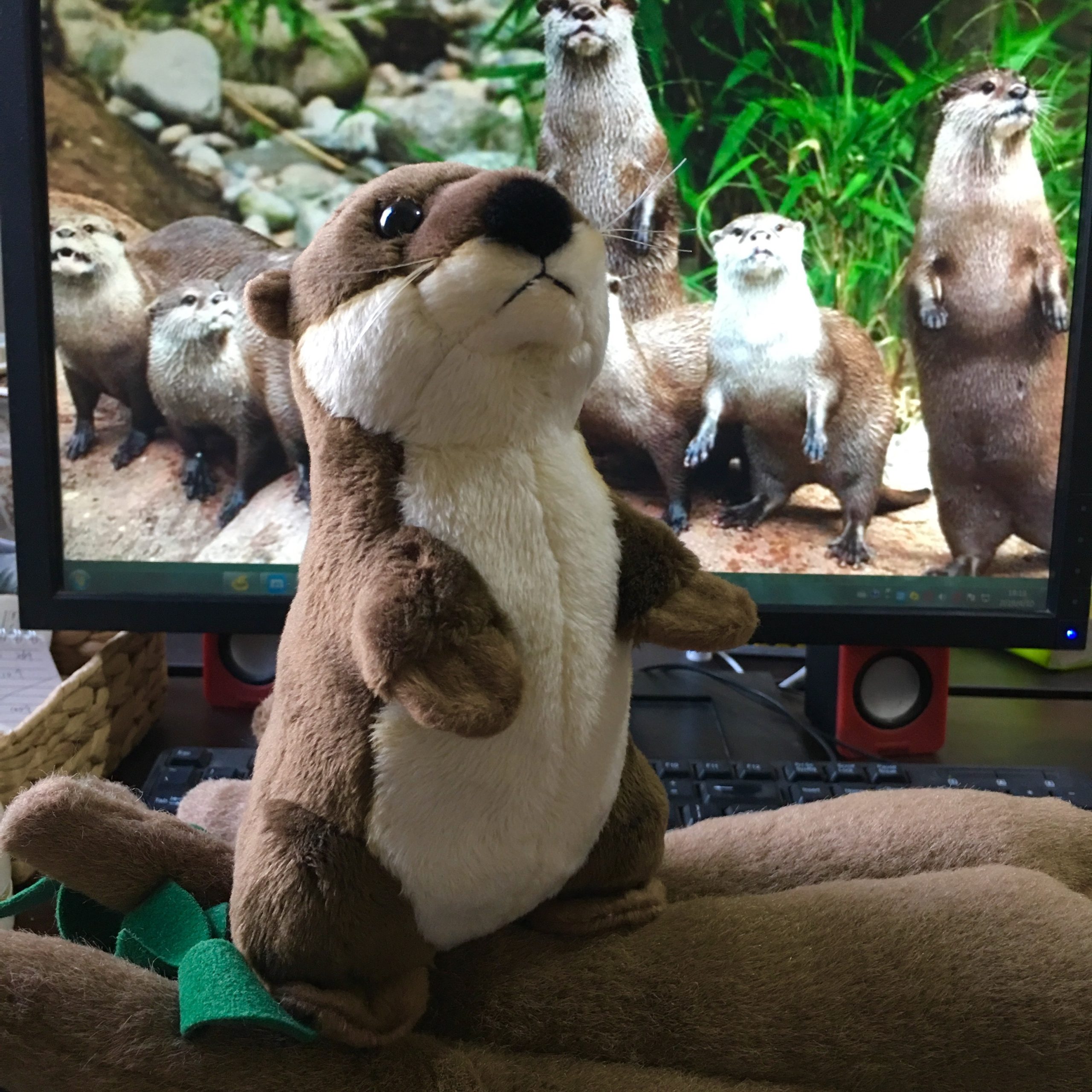 Sea Plushies Adorable Otter Mascot Plush Toy - Perfect Cuddly Companion