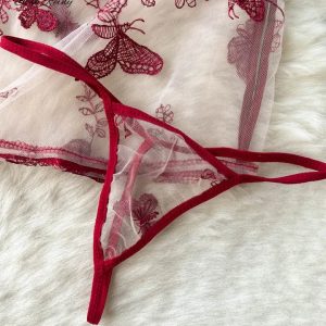 Sexy Sheer Transparent Lingerie - Free Worldwide Shipping